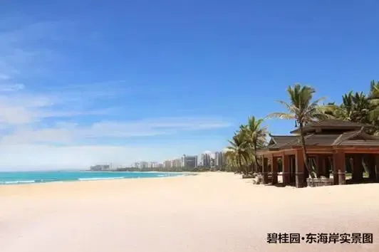 满城尽是碧桂园!碧桂园海南新春房交会双站出