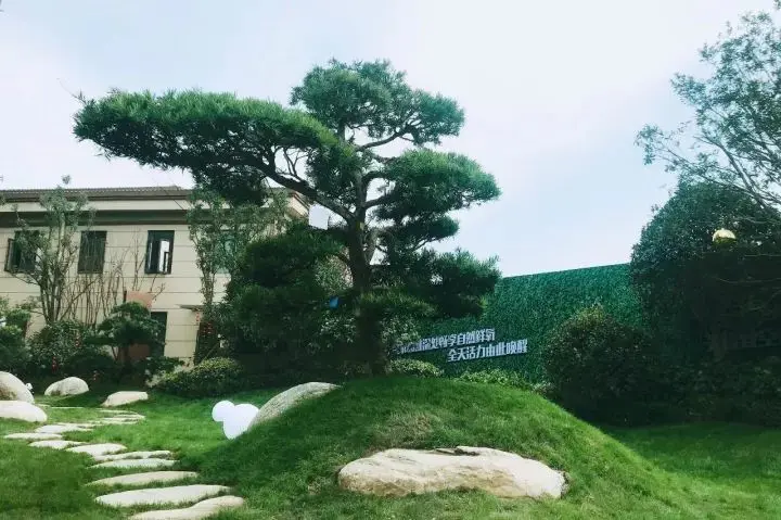 精心雕琢向生活致敬 碧桂园全景外滩样板间盛