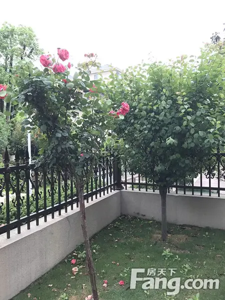 【南湖燕园】想要一个院子 看花开花落一辈子