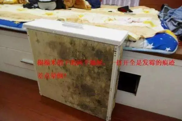 微信图片_20171213143504.jpg 微信图片_20171213143504.jpg