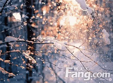 【明珠· 公园Ⅱ期 | 望璟台】2018年 场雪，银装的她更美！