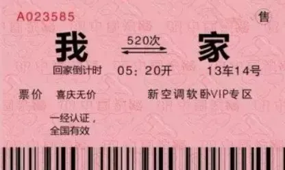有一种爱叫"回家过年"!