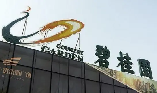 1.png 1.png