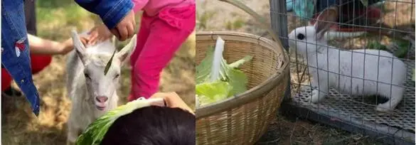 3.jpg 3.jpg