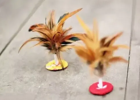 手机看新闻 ——踢毽子大赛        五洲观澜微信公众号